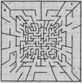 Maze Map