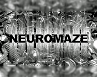 NeuromazeLogo.png